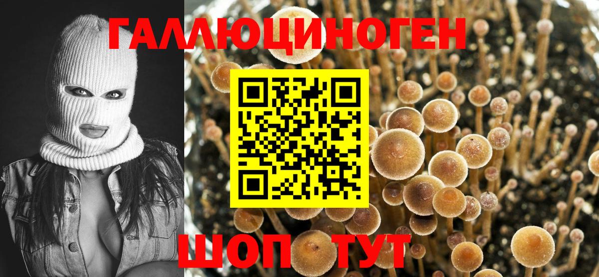 Галлюциногенные грибы Magic Shrooms Лесосибирск