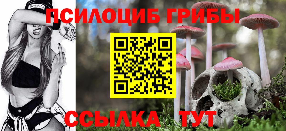 Лесосибирск  Галлюциногенные грибы Psilocybe  Вход с VPN 