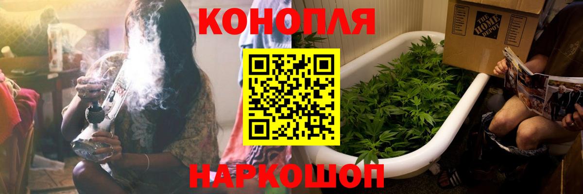 Лесосибирск  Бошки Шишки планчик  Каннабис семена  Вход с VPN  Конопля конопля  Шишки марихуана планчик 